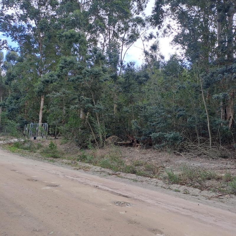0 Bedroom Property for Sale in Van Stadens Eastern Cape